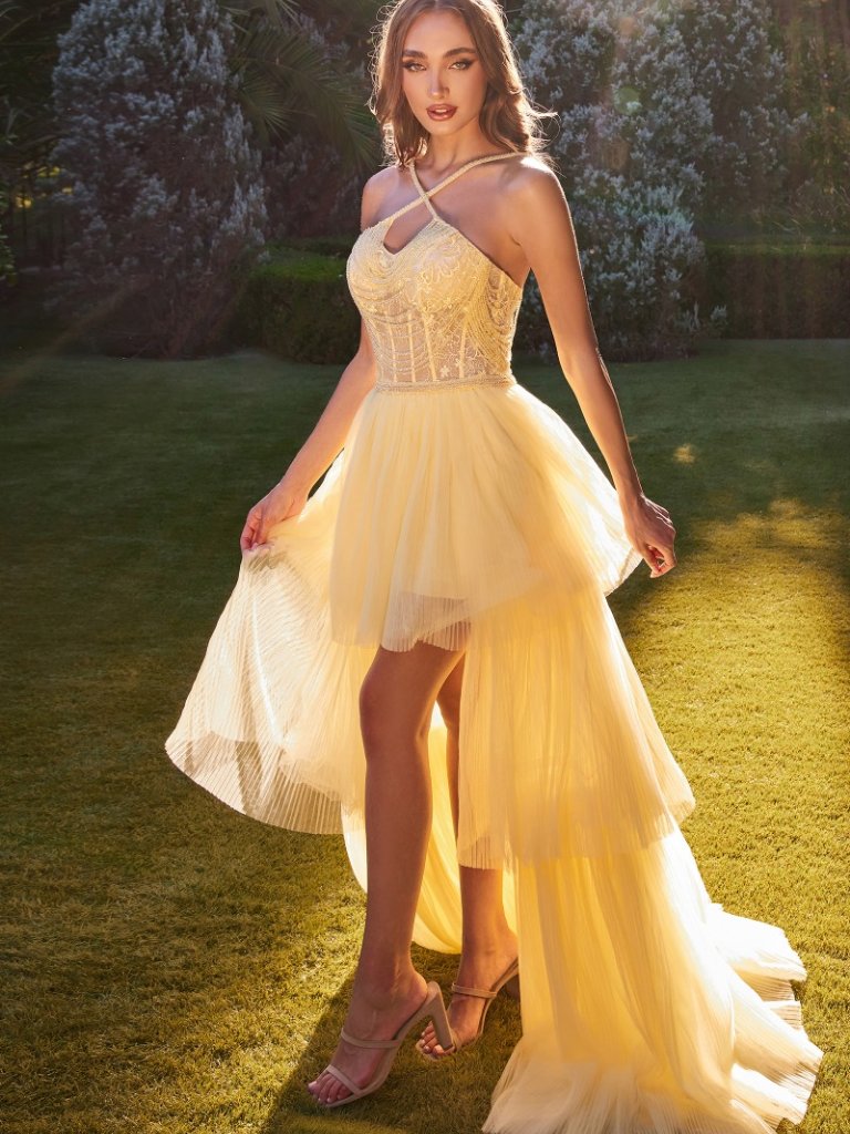 New Formal Sleeveless Ruffled Halter Neck Dress Embroidered With Beads Cd A1239